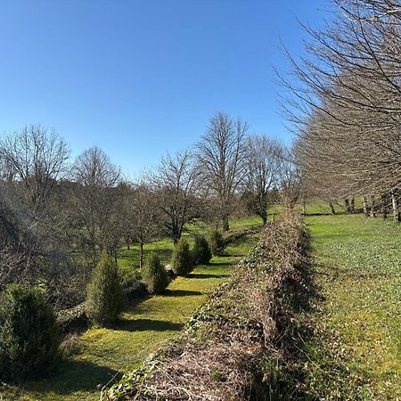 Chateau La Hussardiere Dampierre-sur-Salon Bagian luar foto