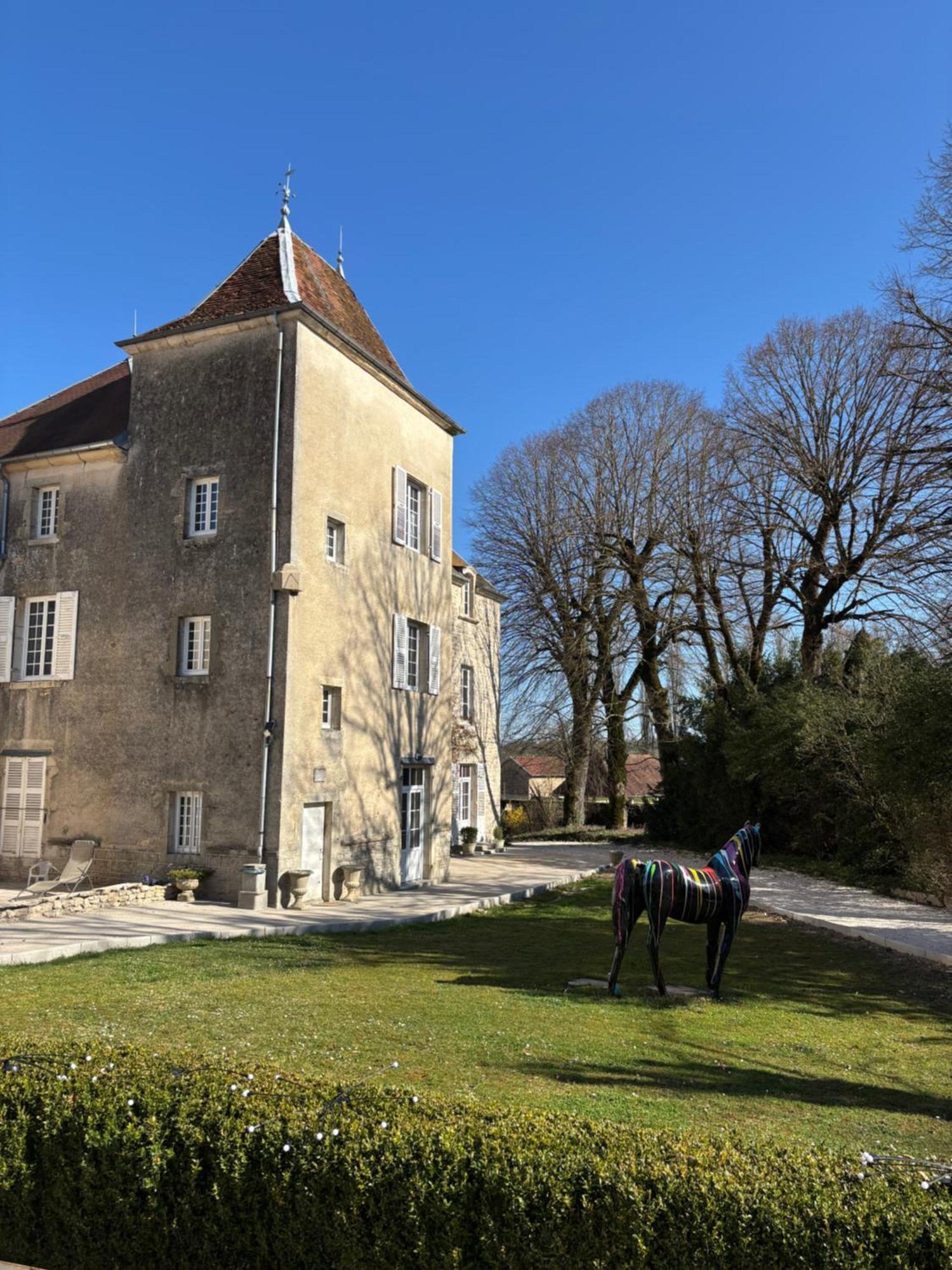 Chateau La Hussardiere Dampierre-sur-Salon Bagian luar foto