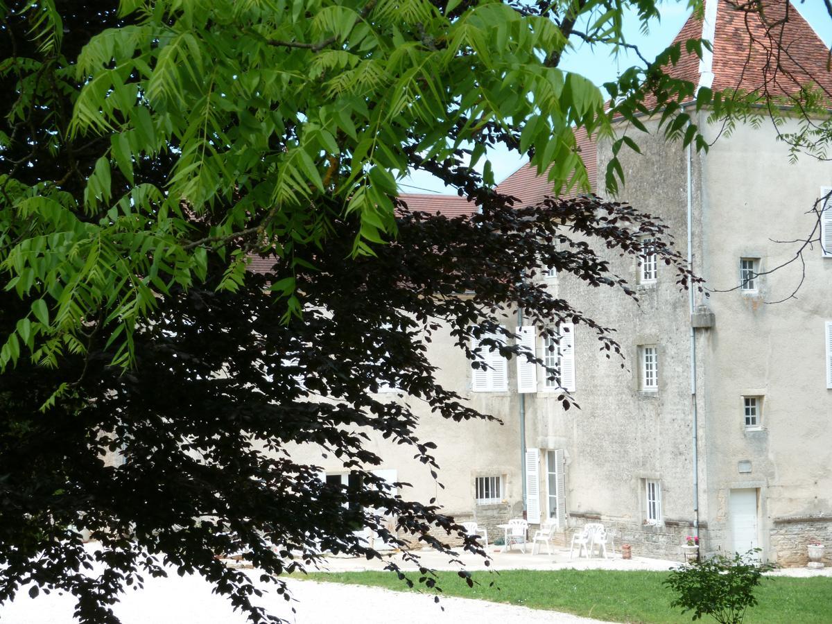 Chateau La Hussardiere Dampierre-sur-Salon Bagian luar foto
