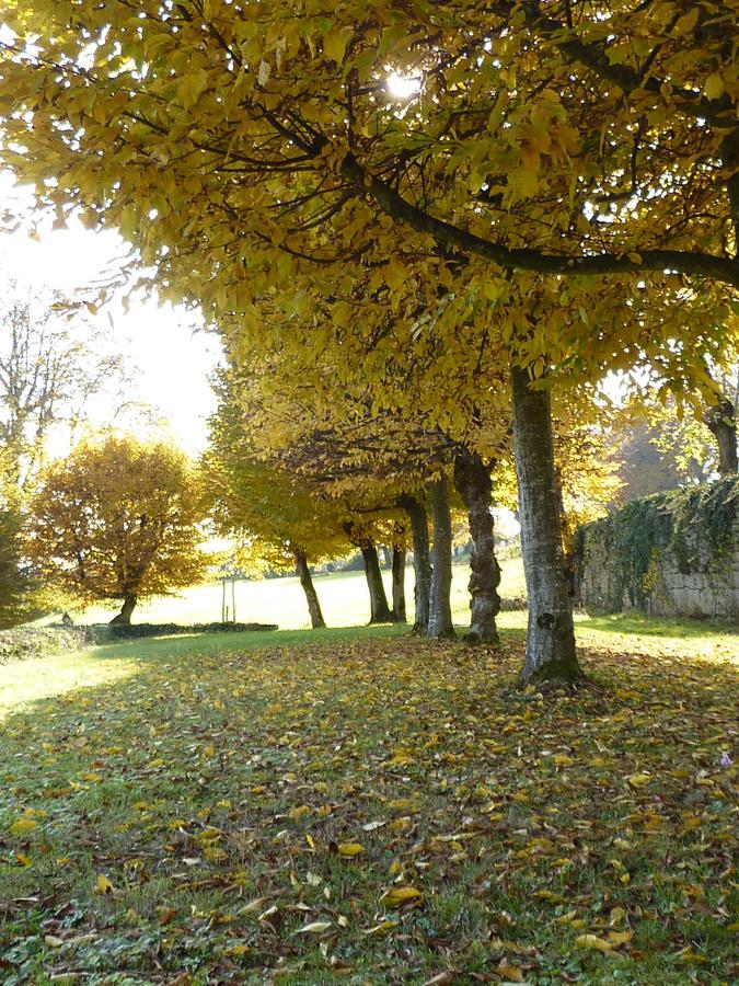 Chateau La Hussardiere Dampierre-sur-Salon Bagian luar foto